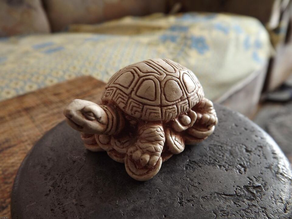 figurka żółwia jako amulet szczęścia